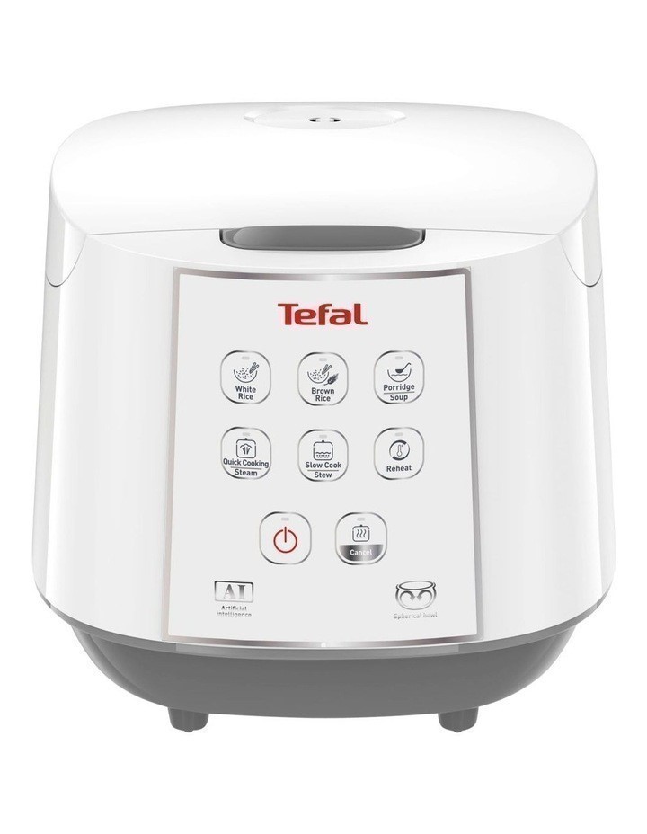TEFAL Rice and Slow Cooker, White, Model: RK732.