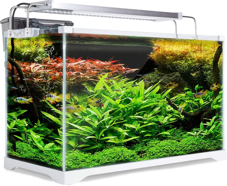 DYNAMIC POWER Starfire Glass Fish Tank 39L (AQ-FT35L). NB: Tank only & Not