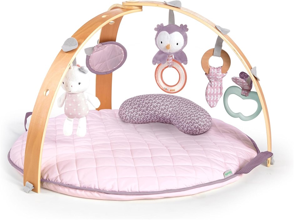 INGENUITY Cosy Spot Reversible Duvet Activity Gym and Padded Play Mat with