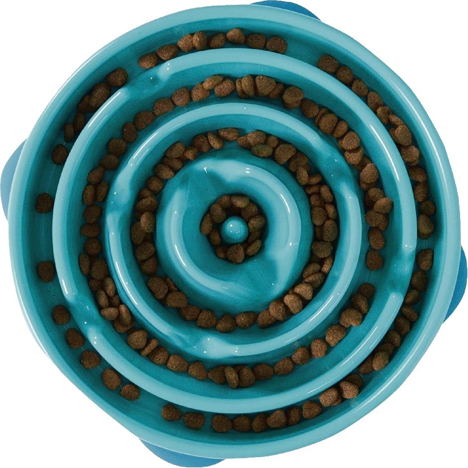 Outward Hound Slow Feeder Dog Bowl - Makes Meal Time Fun, Slows Down Eating