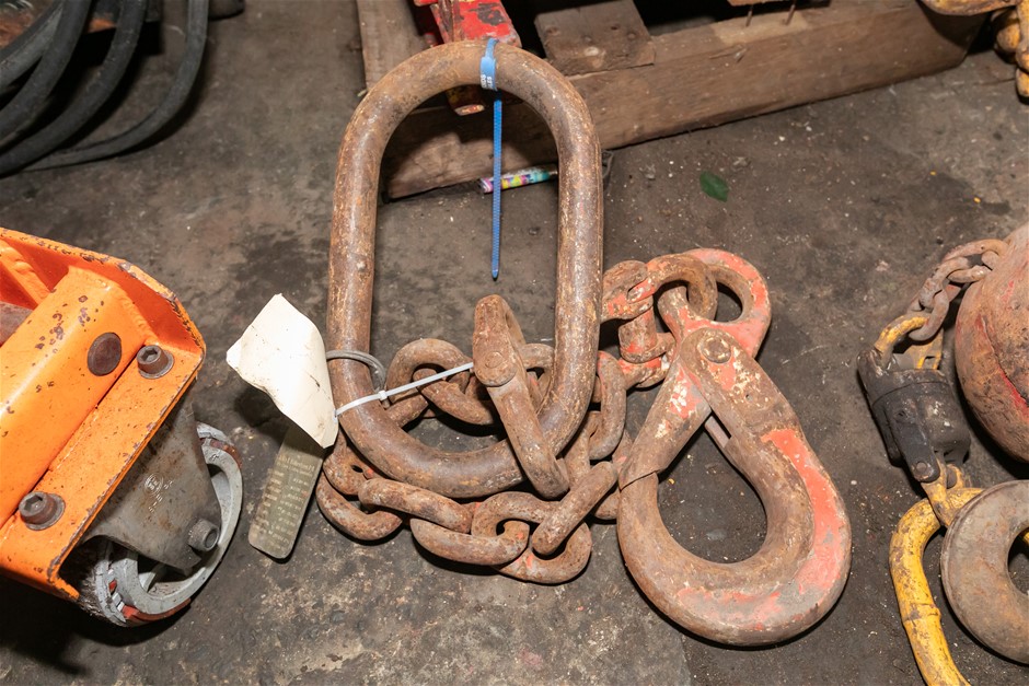 Single Leg Lifting Chain
