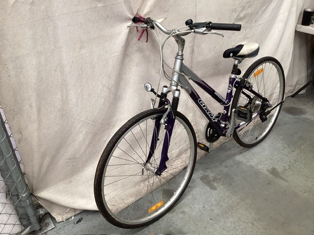 Giant Ladies Mountain Bike