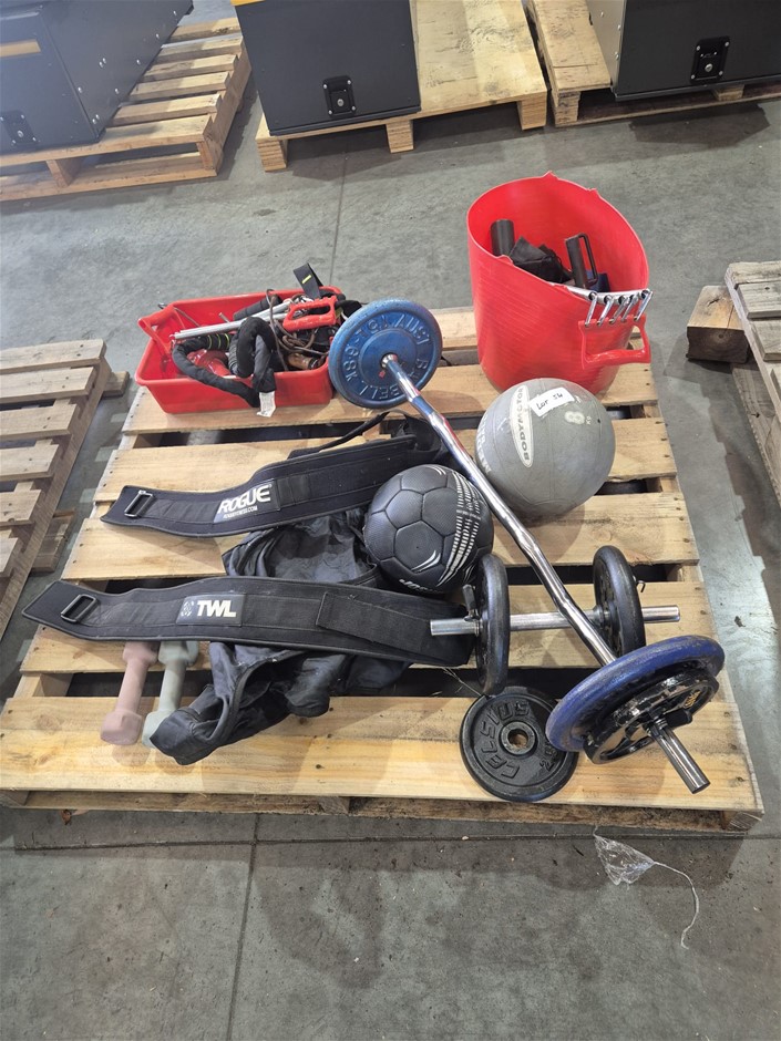 1 Pallet Of Fitness Equipment Including Medicine Ball