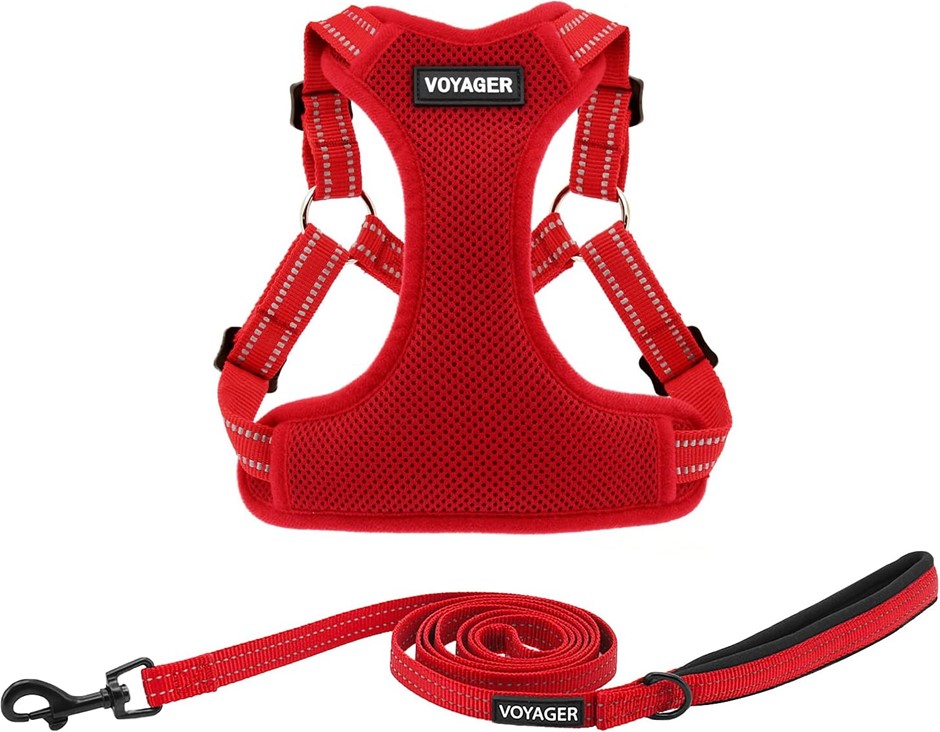BEST PET SUPPLIES Voyager Adjustable Dog Harness Leash Set, S.