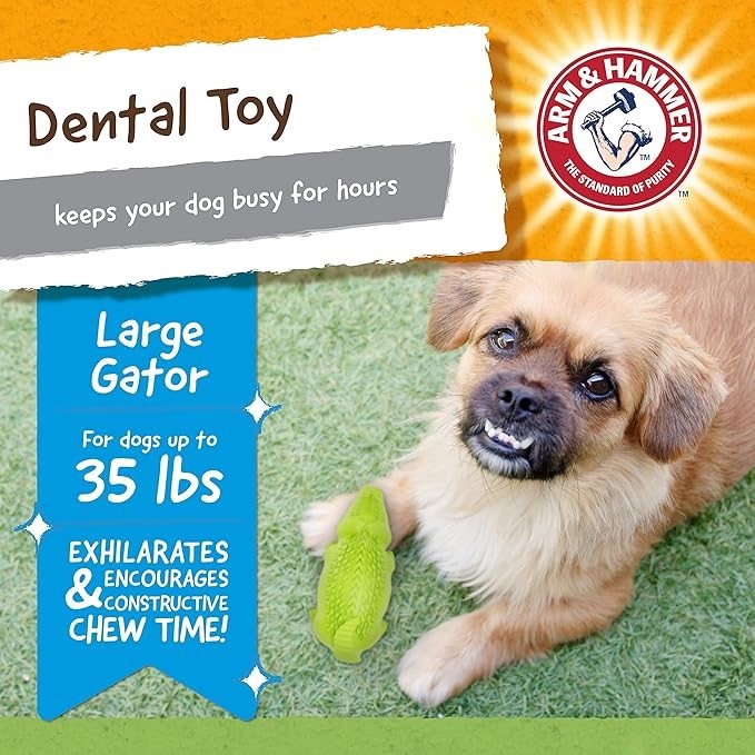Arm & Hammer Super Treadz Gator Toy for Dogs, Large Gator