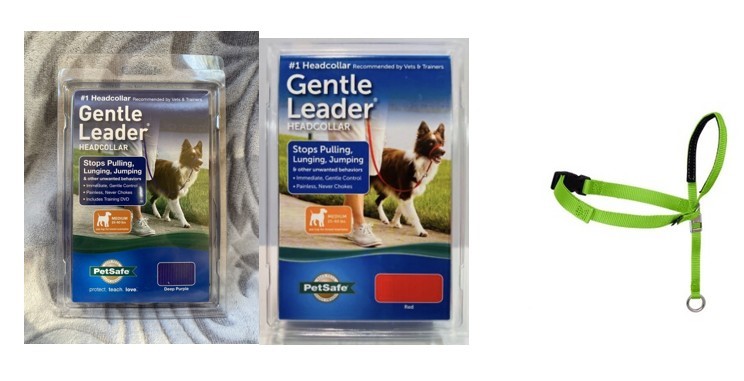 5 ASSORTED PETSAFE MEDIUM GENTLE LEADER HEAD COLLAR: 2x Red, 2x Green, 1x P