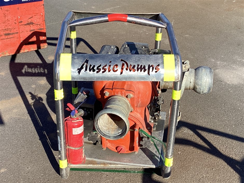 <p>Pump - Trash 100MM</p>