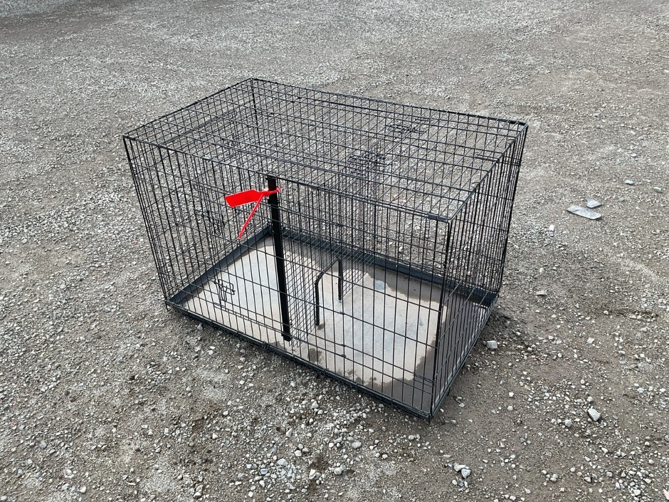 No Reserve Wire Cage, Cement Panels, Pallet Racking & More