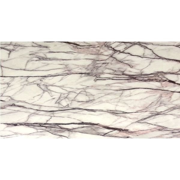 Quartz White with Black Marble Table Top