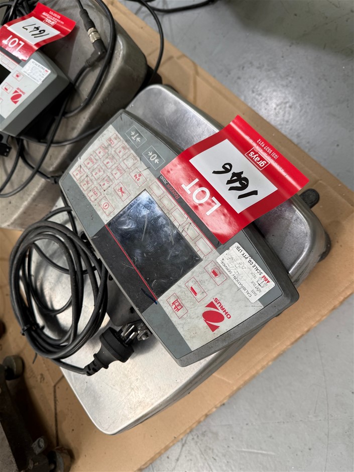 Ohrus Digital Bench Scales 