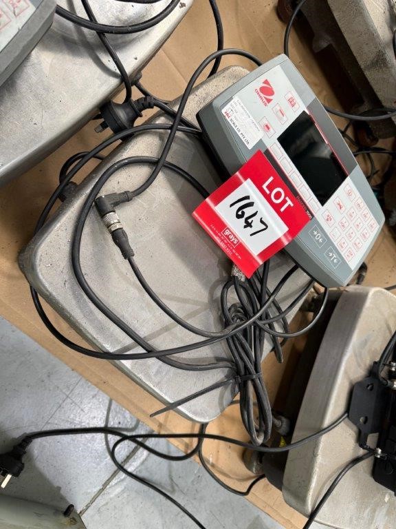 Ohrus Digital Bench Scales 