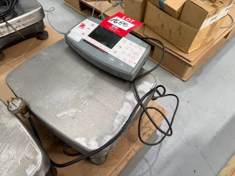 Ohrus Digital Bench Scales 