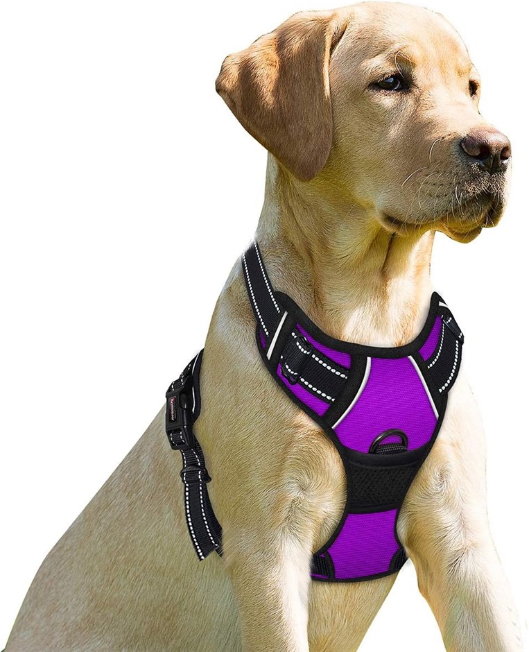 BARKBAY No Pull Dog Harness Front Clip Heavy Duty Reflective Easy Control H
