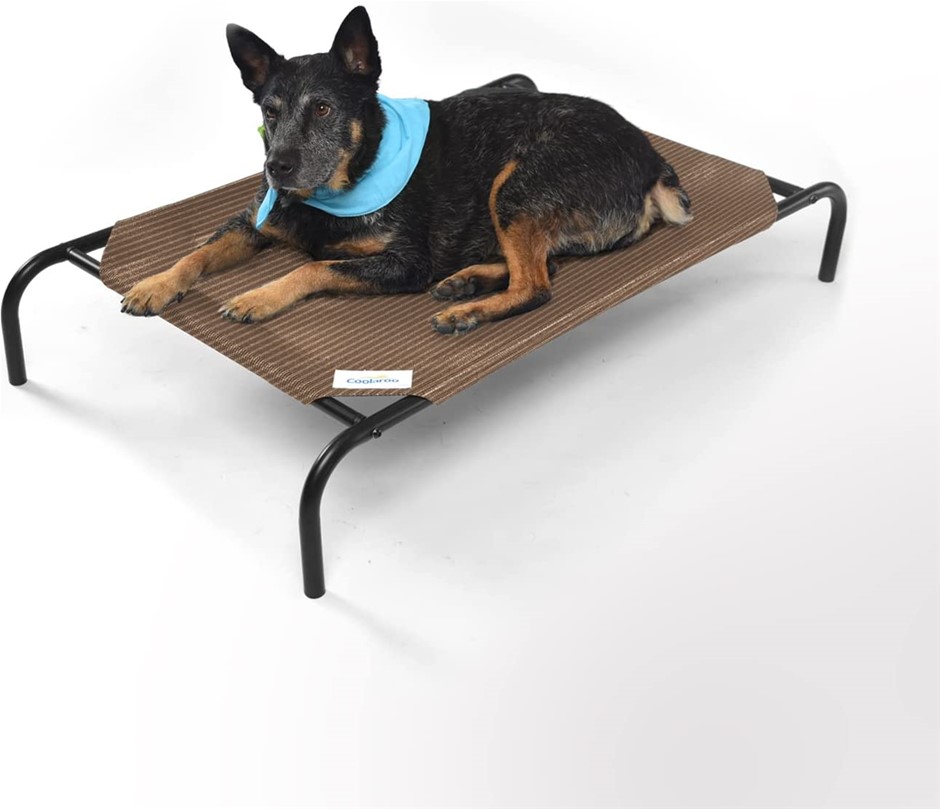 COOLAROO riginal Elevated Dog Bed, Nutmeg, Medium, 42L x 25.5W x 8Th cm.