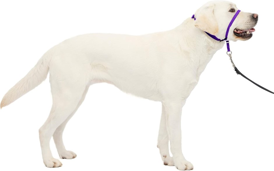 PETSAFE Gentle Leader No-Pull Dog Headcollar, Large, Deep Purple.