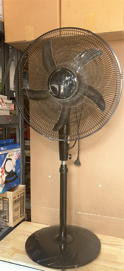 Fan