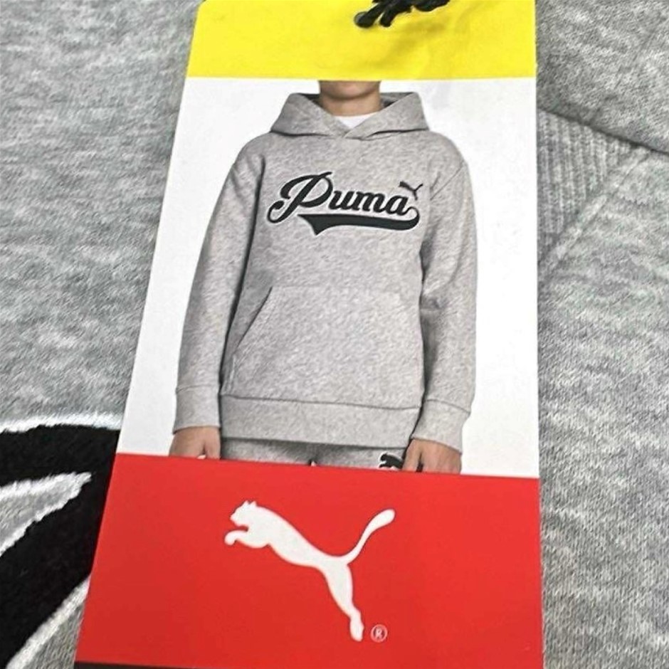 PUMA Boys' Fleece Hoodie, Size L (UK 13-14Y), Grey (03), 220986. Buyers No