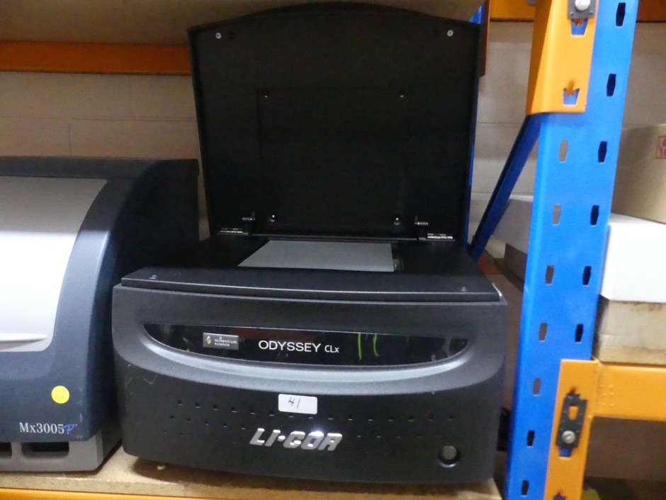 Near Infrared (NIR) low background fluorescence detection imaging system