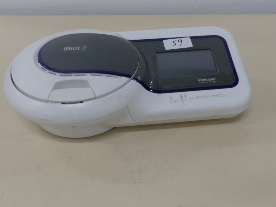 Gel Transfer Blotting System of Proteins/DNA