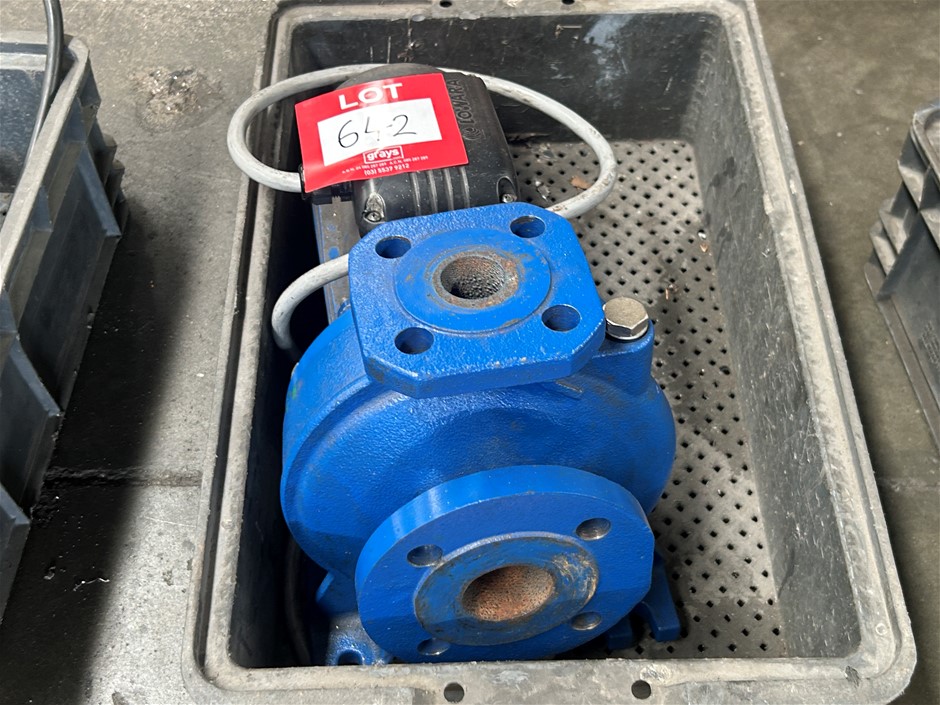 Lowara Electric Pump & Motor