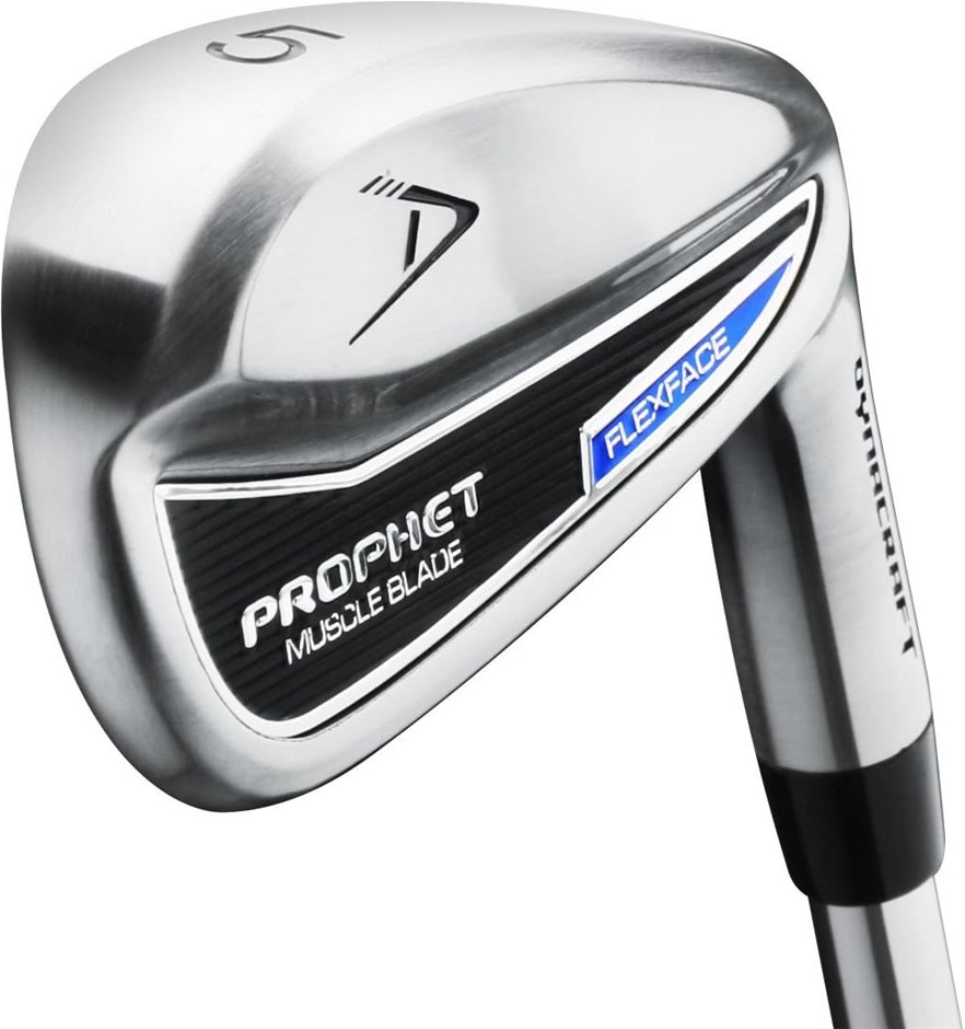 DYNACRAFT Prophet Muscle Blade Iron Set. NB: Set of 8, right handed.