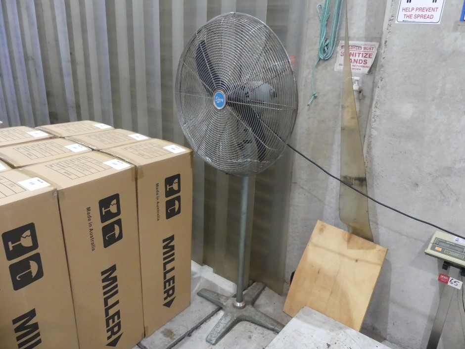 <p>Ebony Pedestal Fan</p>