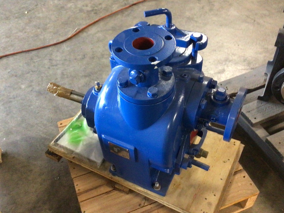 <p>Milestone Bare Shaft Pump</p>