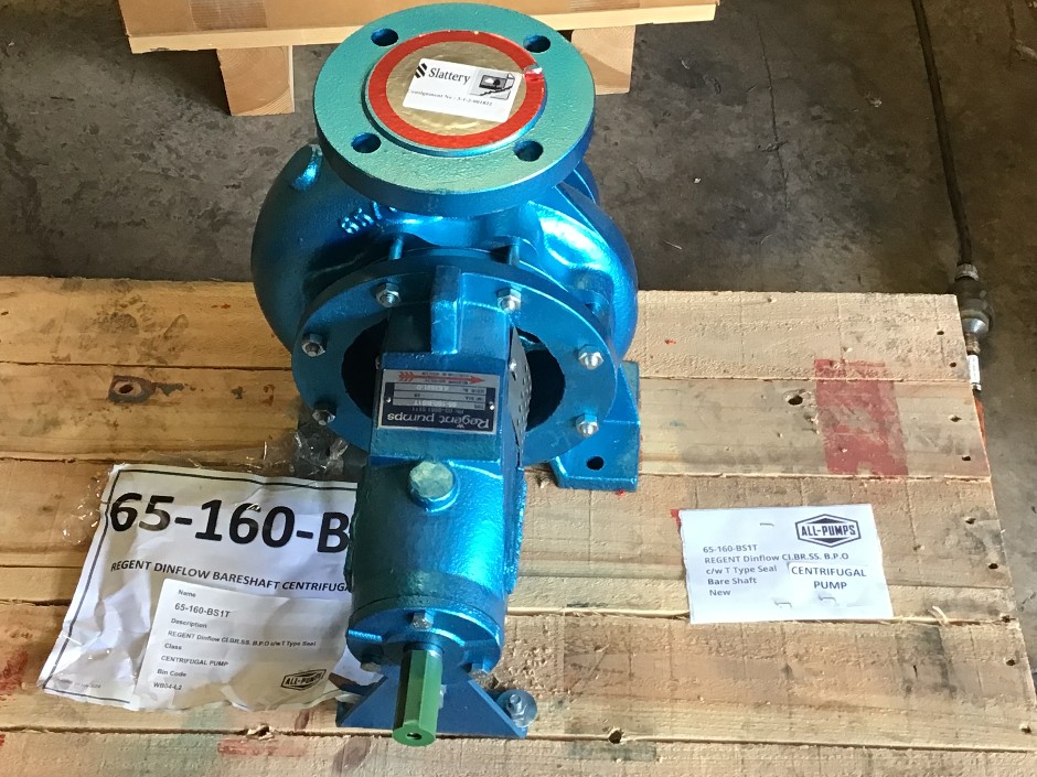 <p>Regent Centrifugal Pump Bare Shaft</p>