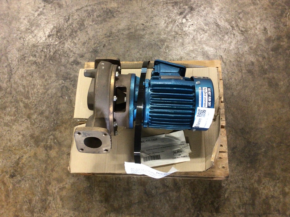 <p>Regent In-Line Motor Pump</p>