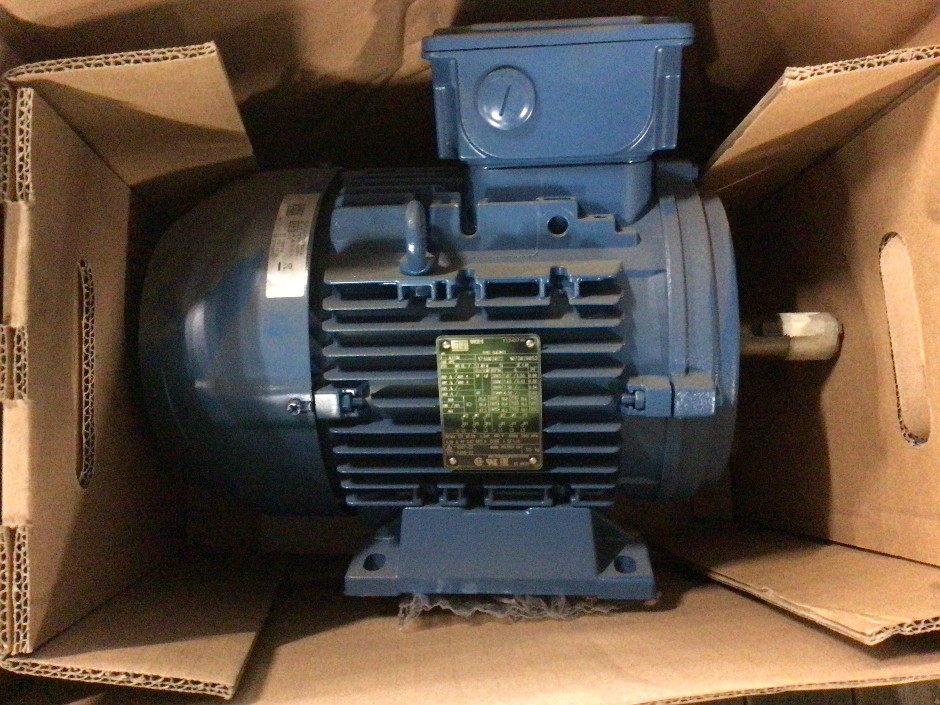 Weg W21 Electric Motor