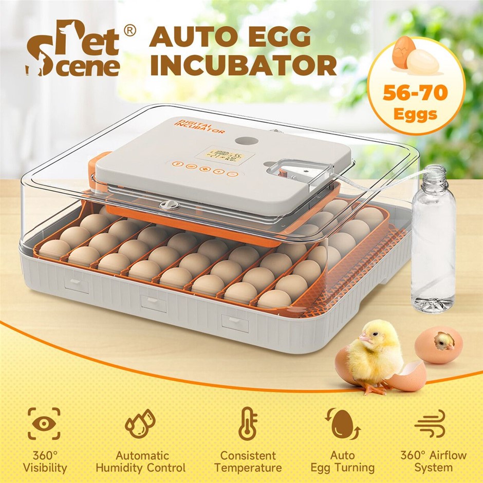 56-70 Egg Incubator Automatic Turner Humidity Control Chicken Duck Quail