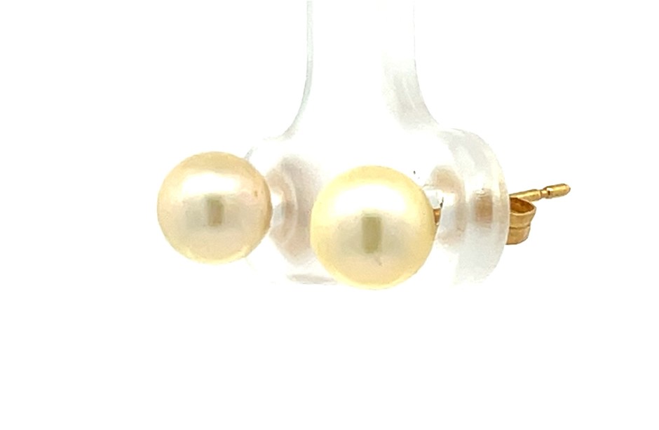 18ct yellow gold pearl stud earrings