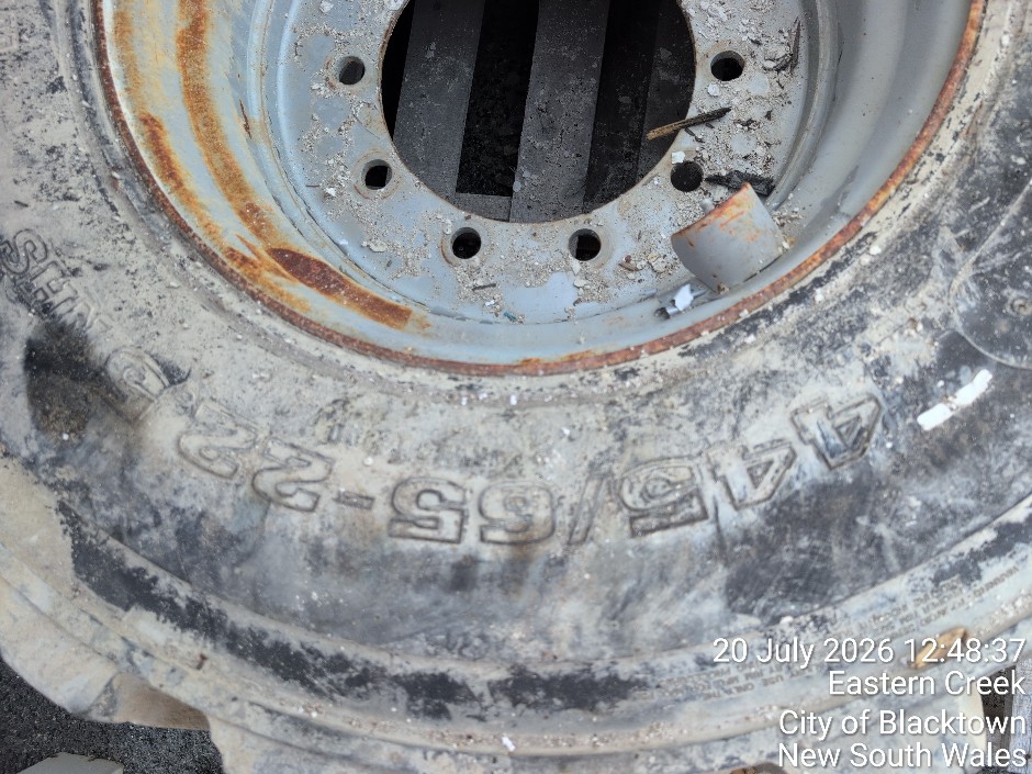 <p>WHEEL & TYRE (Site ID: 124.01)</p>