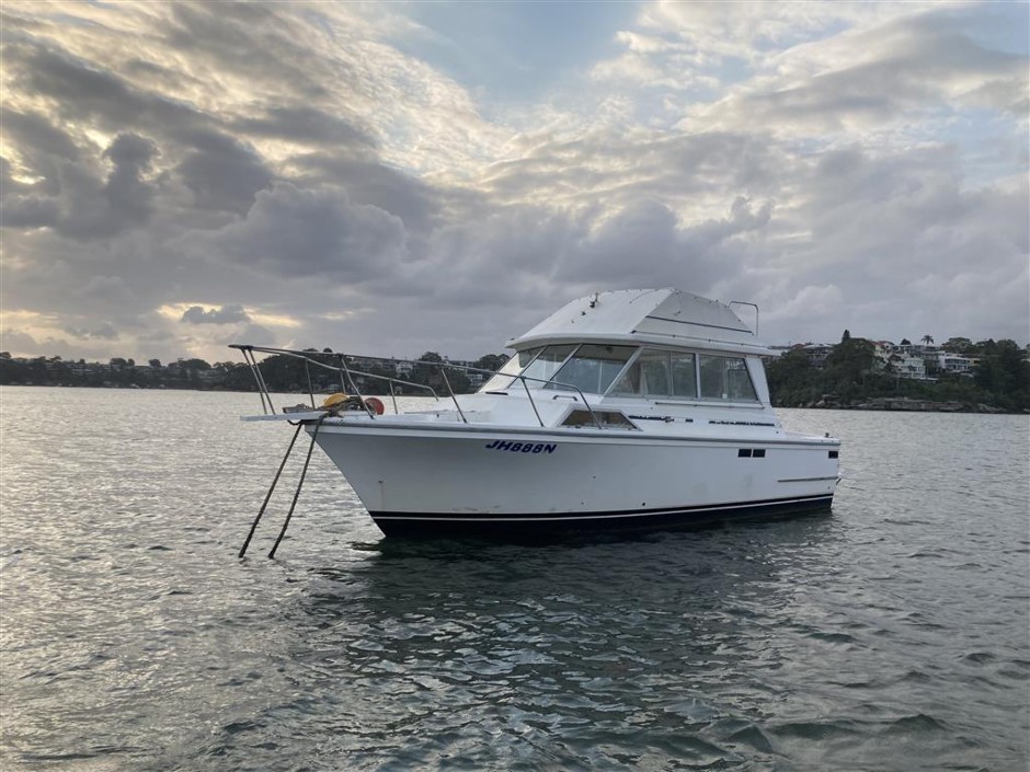 Mariner 31 Flybridge