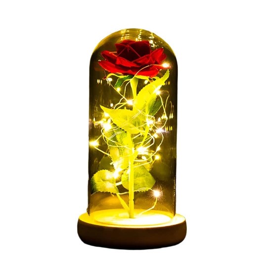 Valentines Day Gift for Girlfriend Eternal Rose