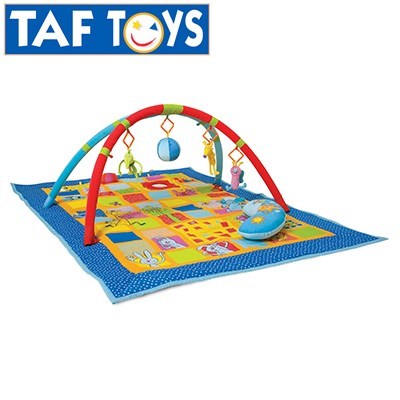 Taf Toys 3-in-1 Curiosity Gym