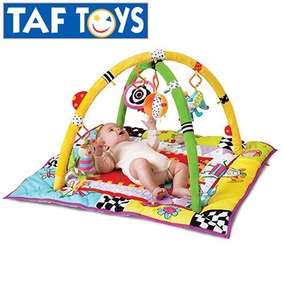 Taf Toys Kooky Gym - Baby Activity Play 