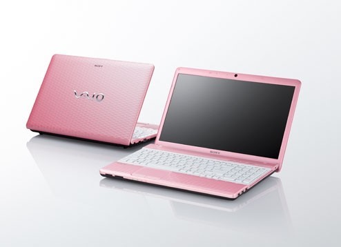 Sony VAIO E Series VPCEH28FGP 15.5 inch 