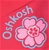 Osh Kosh B'gosh Girls 80s Boardshorts