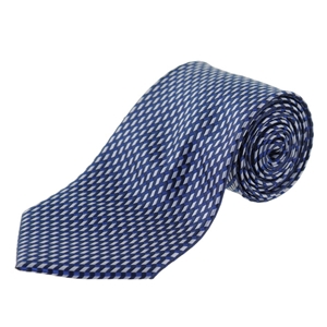 Seth Man Blue and White Box Pattern Tie