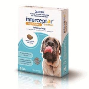 INTERCEPTOR Chews Blue Lge Dogs 22-45kg 
