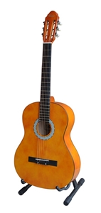 Woodstock 39" Acoustic Guitar with Bag -