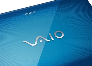 Sony VAIO E Series VPCEB46FGL 15.5 inch 