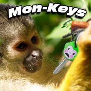 Mon-Keys