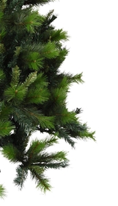 The Austrian Christmas Tree 7ft/2.1m - 1