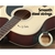 Alpha 41” Inch Electric Acoustic Guitar Wooden Classical EQ Pickup Bass
