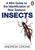 Mini Guide to Insects