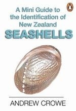 Mini Guide to Seashells
