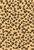 Cheetah Small Wiro Bound Book