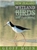 New Zealand Wetland Birds and Their World